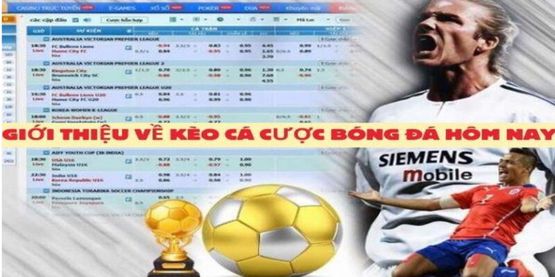 Giới thiệu về kèo cá cược bóng đá hôm nay tại nhà cái chúng tôi