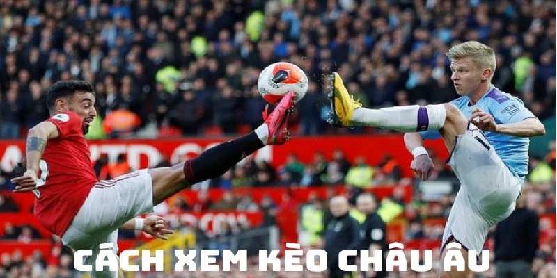 Chi tiết về cách xem kèo Châu Âu chuẩn xác nhất