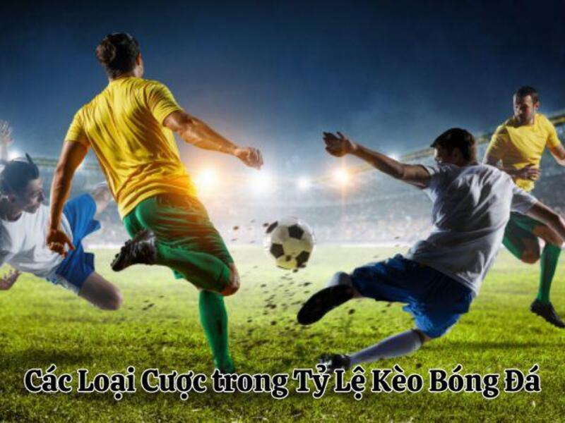 Các Loại Cược trong Tỷ Lệ Kèo Bóng Đá