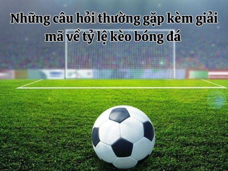 Những câu hỏi thường gặp kèm giải mã về tỷ lệ kèo bóng đá 