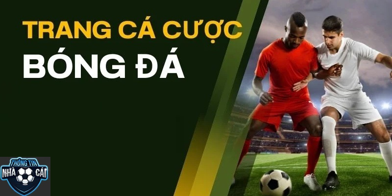 Lời khuyên từ các chuyên gia dành cho người mới tham gia