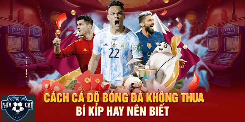 loi khuyen danh cho nguoi moi khi tham gia ca cuoc bong da Lời khuyên dành cho người mới khi tham gia cá cược bóng đá