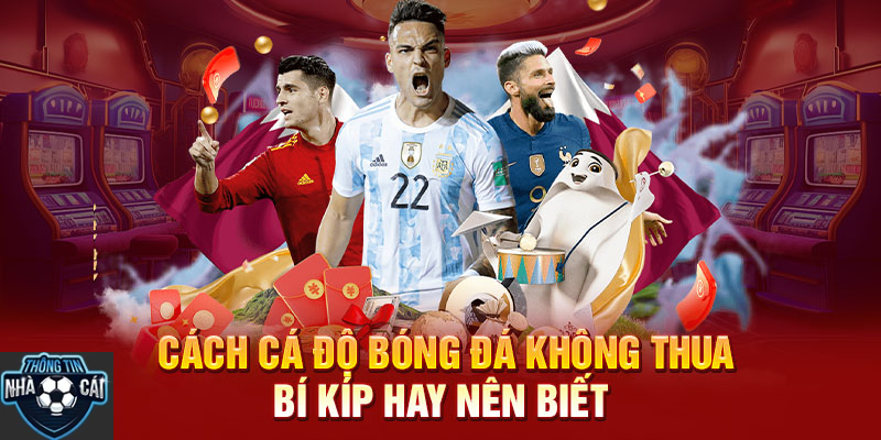 luu y khi tham gia nen tang ca cuoc bong da Lưu ý khi tham gia các nền tảng cá cược bóng đá