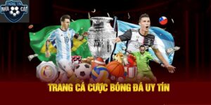 Top Trang Cá Cược Bóng Đá Uy Tín Nhất Hiện Nay 2025