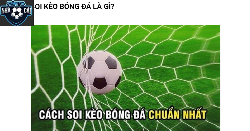 Những Lưu Ý Đặc Biệt Khi Tham Gia Trang Cá Cược Bóng Đá 