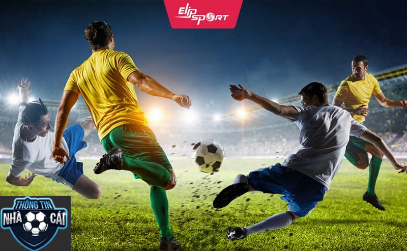 Trang Cá Cược Bóng Đá là gì?