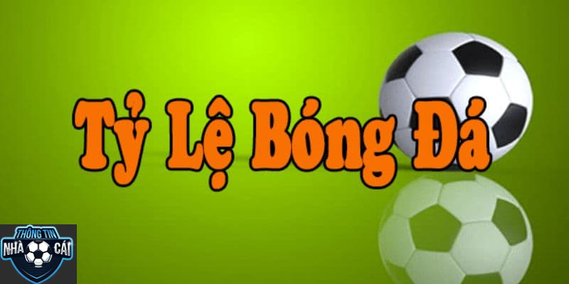 ty le keo yeu to song con trong ca cuoc Tỷ lệ kèo - Yếu tố quan trọng trong cá cược