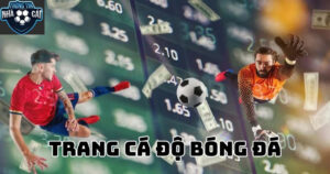 So Sánh Các Trang Cá Cược Bóng Đá Hàng Đầu - Nơi Kèo Ngon